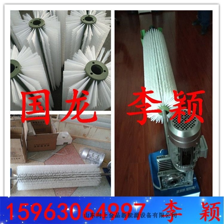 b1400毛刷清扫器b1000电动滚刷清扫器  2022春风花草香​
